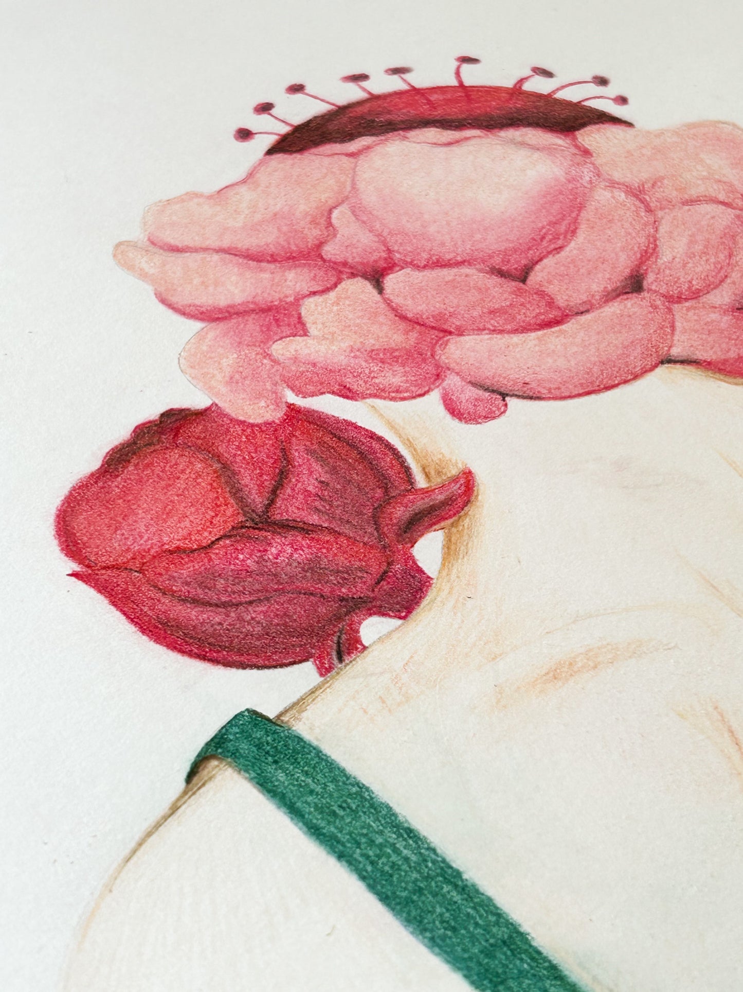 Corps à coeur