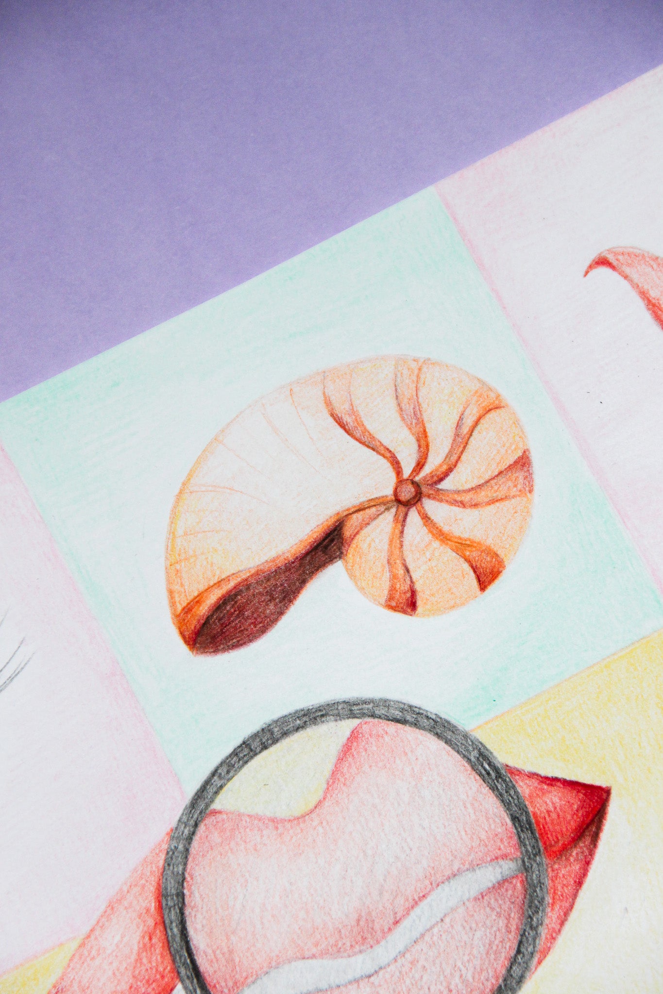 Le Cabinet de curiosités n°1