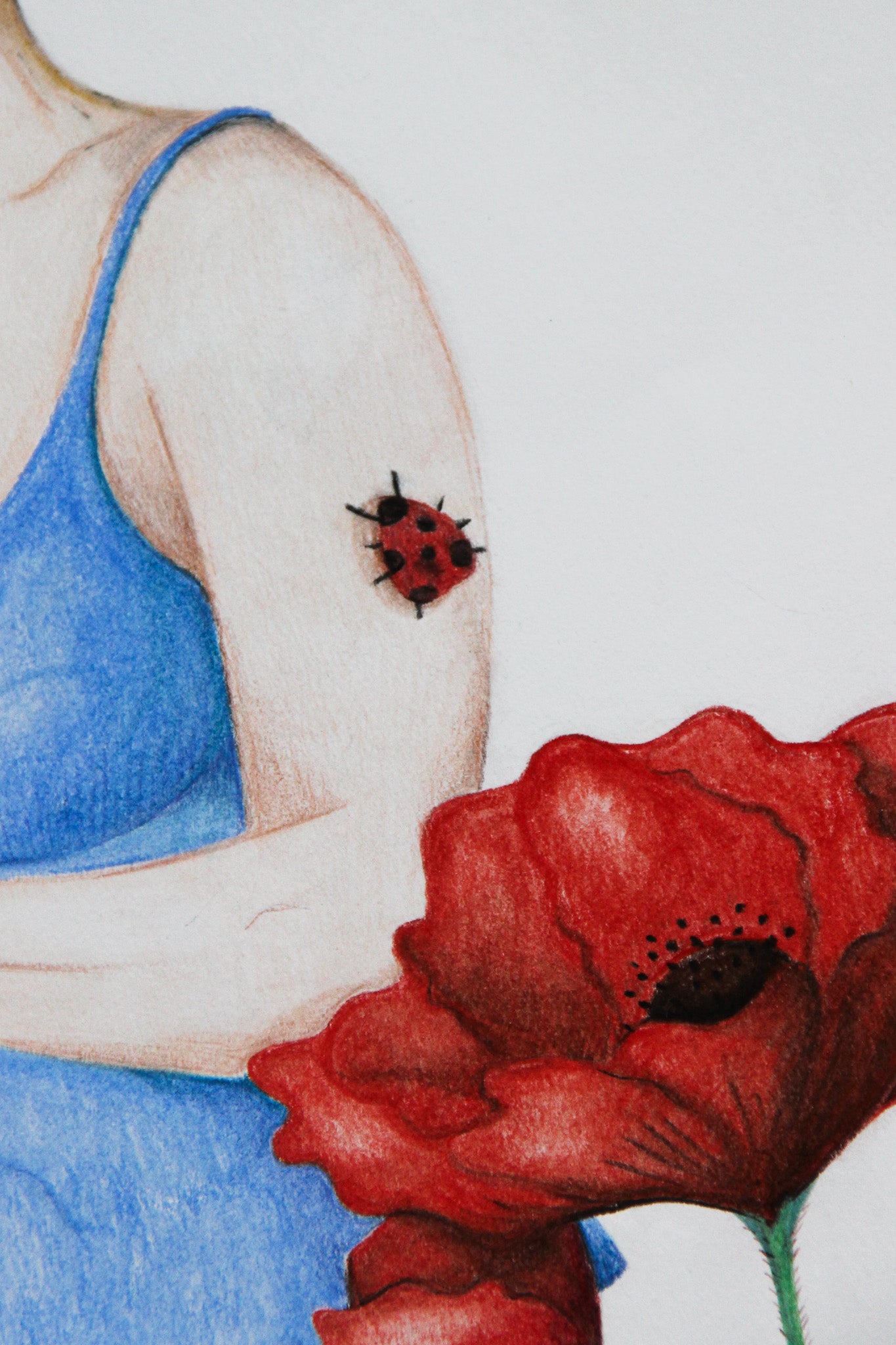 Sous l'iris, les pétales d'une fleur