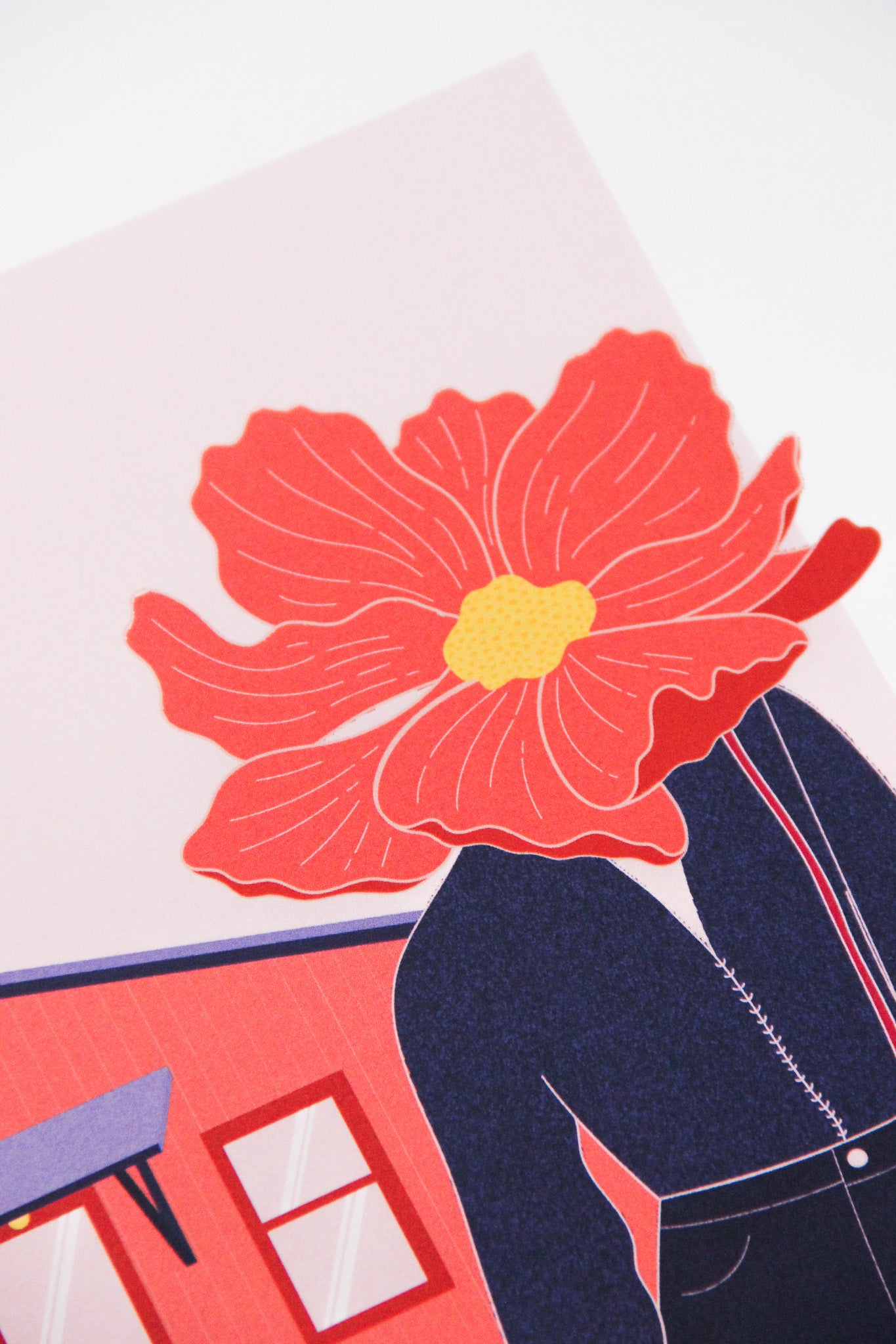 Cosmos