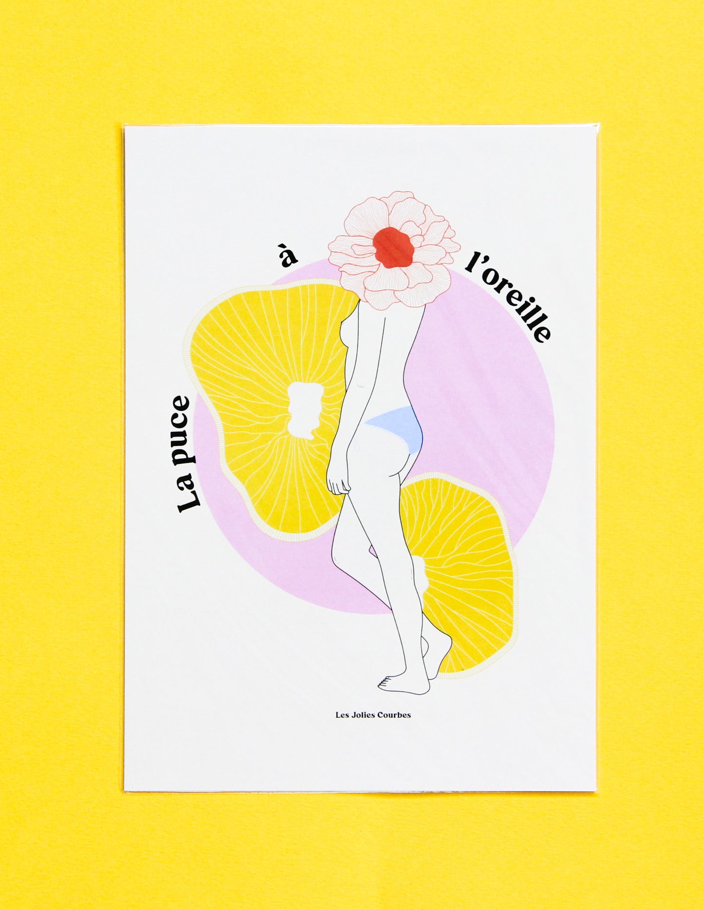 Les petites cartes A5