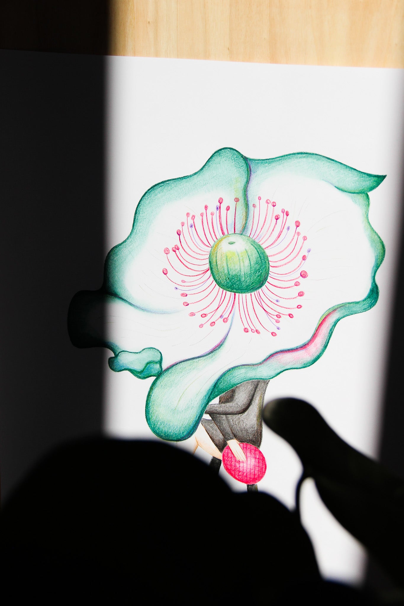 Fleur de minuit