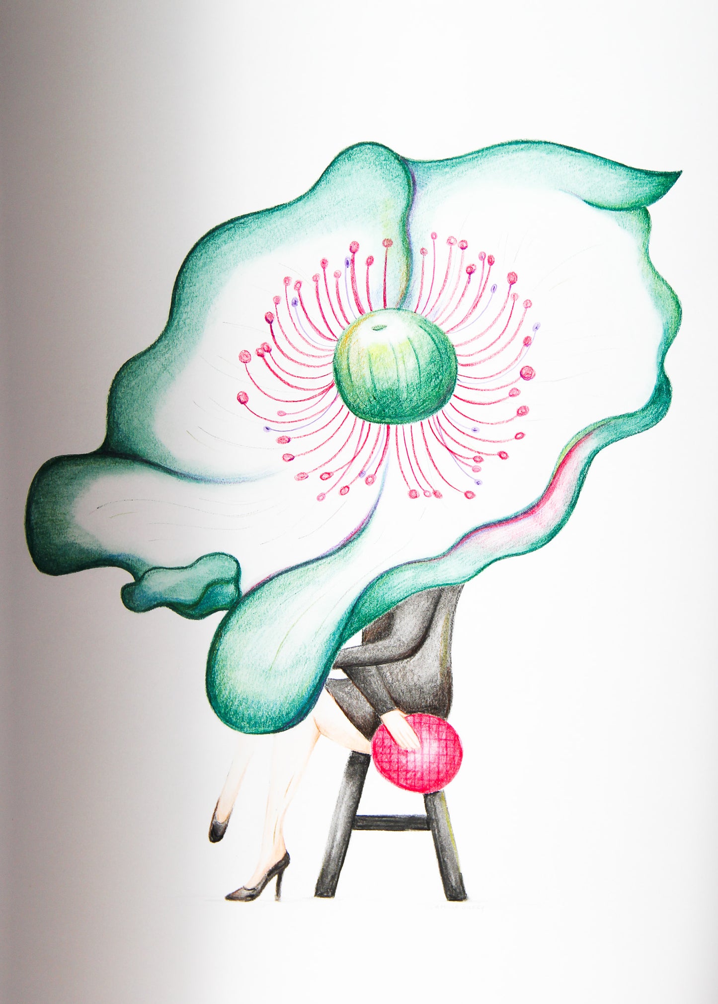 Fleur de minuit